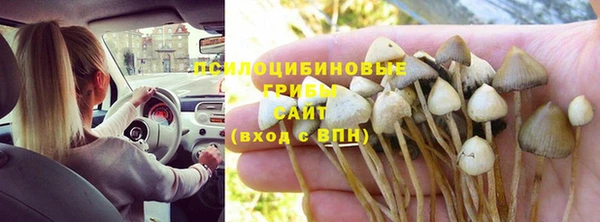 гидропоника Алексеевка