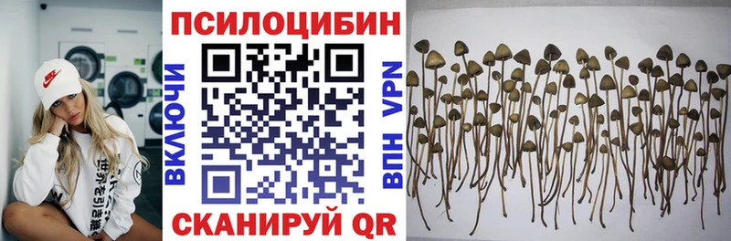 Галлюциногенные грибы Cubensis  Старый Оскол 